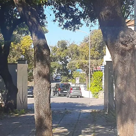 Lecci Al Mare San Vincenzo